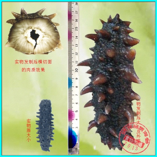 济元淡干海参